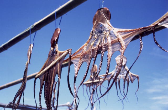 スポットの写真