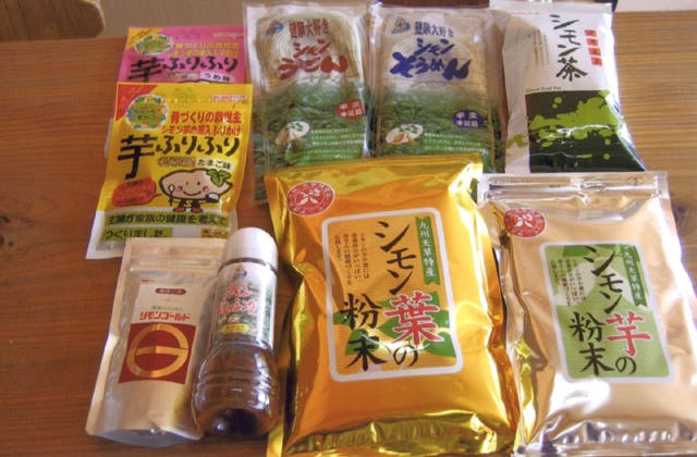 スポットの写真