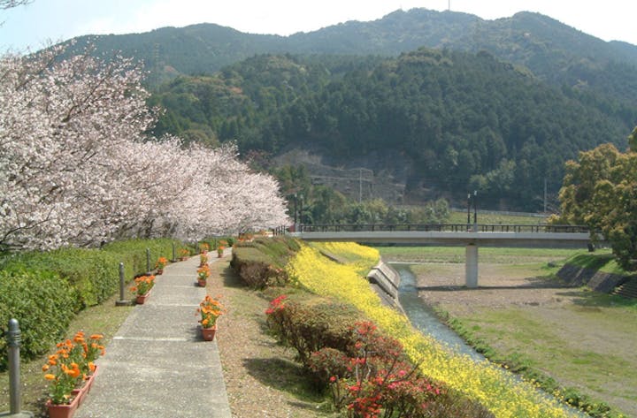 天草コレジヨ公園