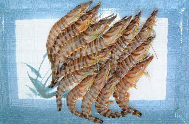 スポットの写真