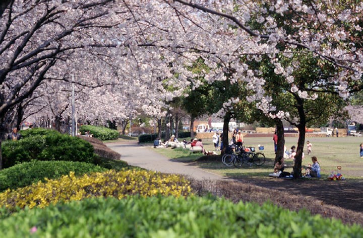 平和市民公園 アソビュー