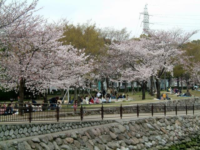 平和市民公園 アソビュー