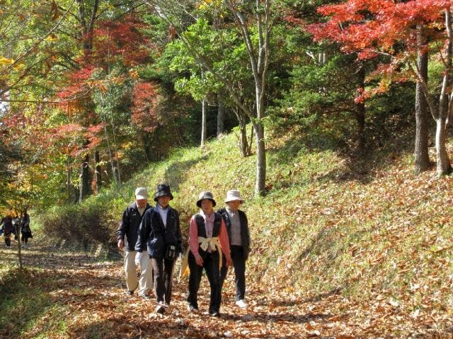 大分県県民の森　紅葉ウォーキング