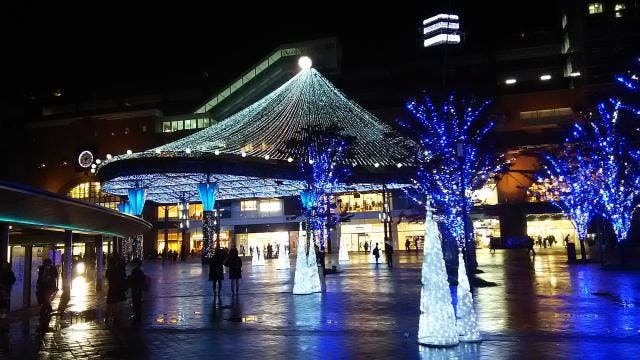 スポットの写真