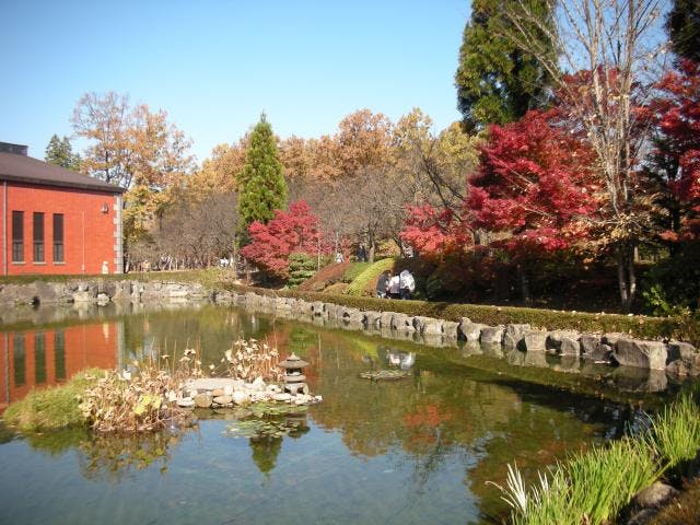 【2020年中止】いいちこ紅葉祭