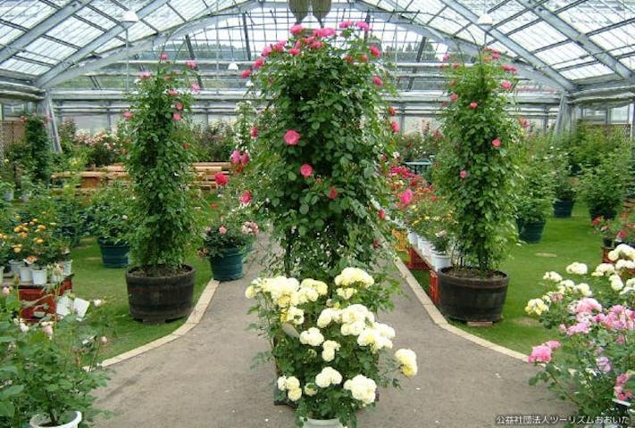 天瀬町農業公園（ローズヒルあまがせ）