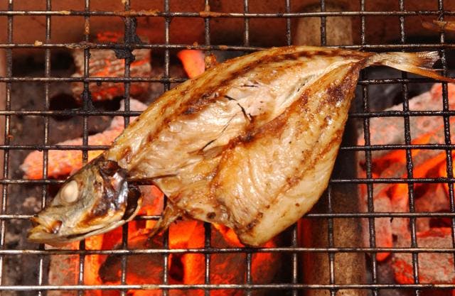 スポットの写真