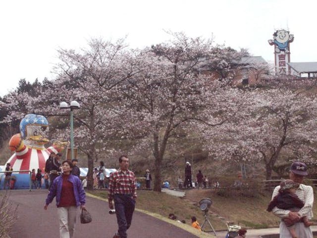 【2021年中止】吉四六まつり