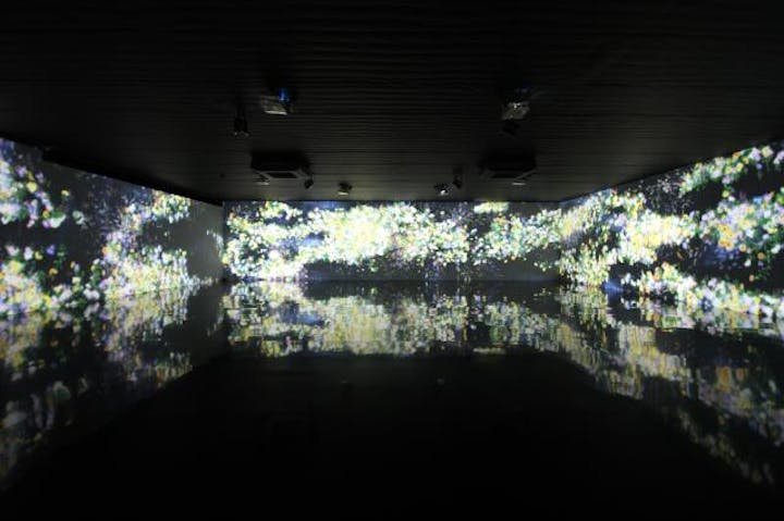 チームラボギャラリー真玉海岸