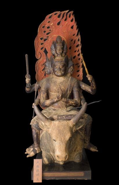 スポットの写真