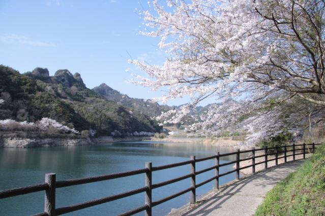 スポットの写真