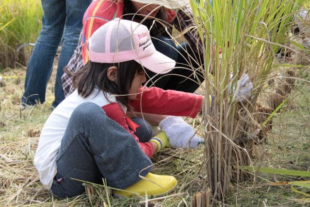 スポットの写真