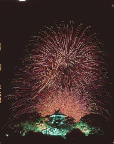 【2021年中止】杵築市納涼花火大会