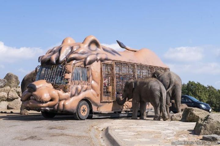 九州自然動物公園アフリカンサファリ