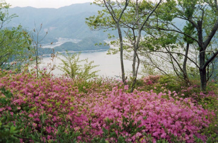 仙崎つつじ公園