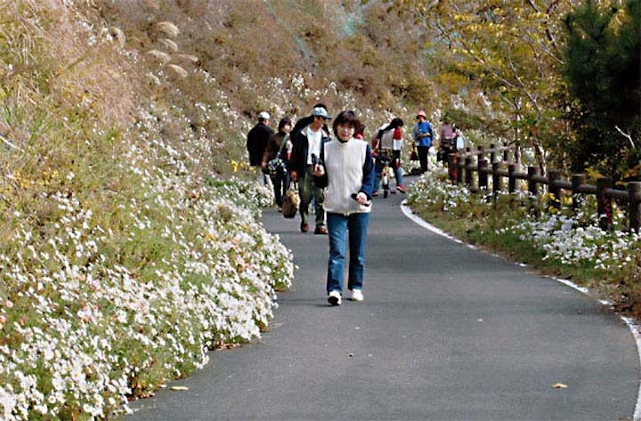 【2020年度開催中止】たかひら展望公園のじぎく祭り