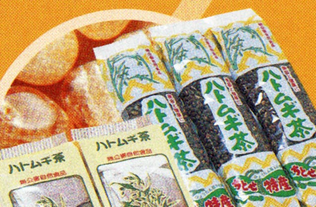 スポットの写真