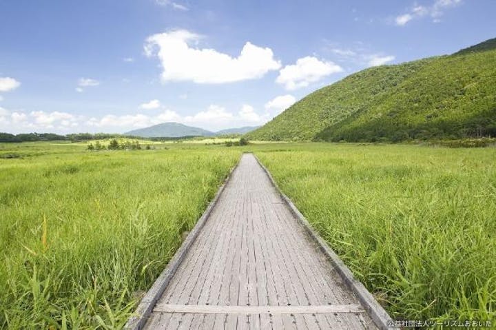 長者原自然研究路