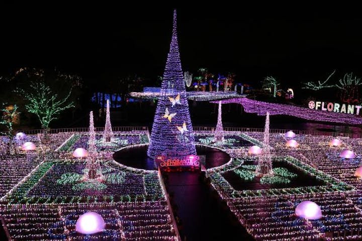 【2020年中止】イルミネーション・フラワー・ガーデン2019 〜ひかりのはなぞの〜「花と光のメロディ」