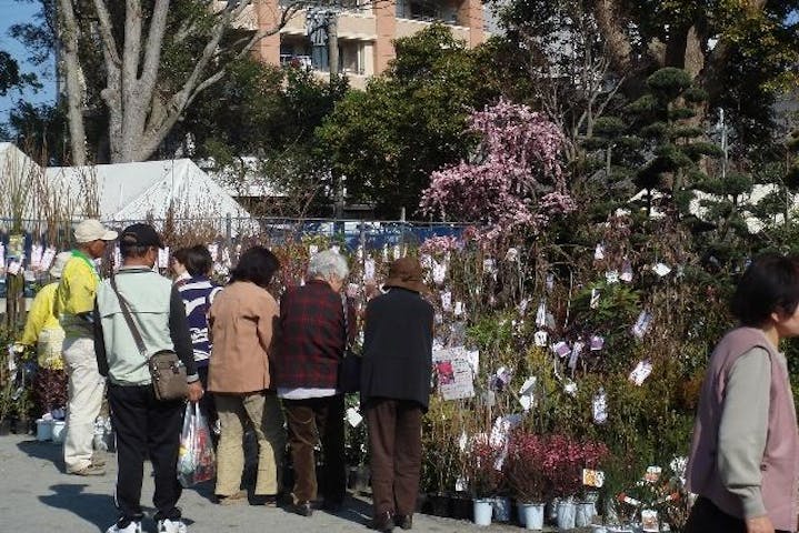 秋のみやざき植木市