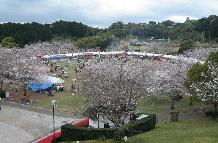 久峰公園さくらまつり
