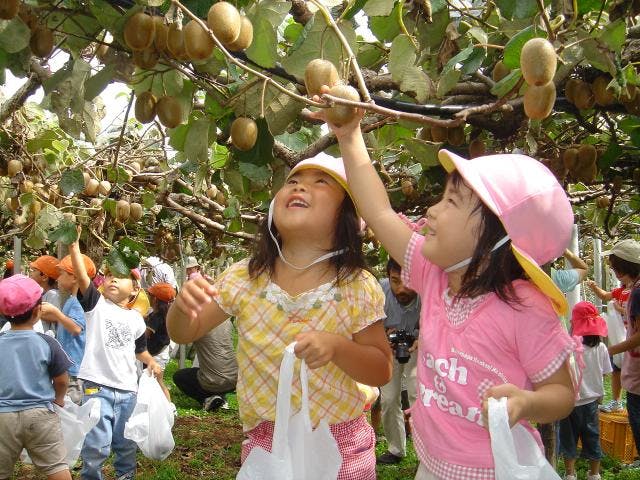 関之尾緑の村観光農園
