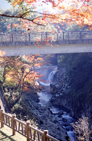 長田峡の紅葉
