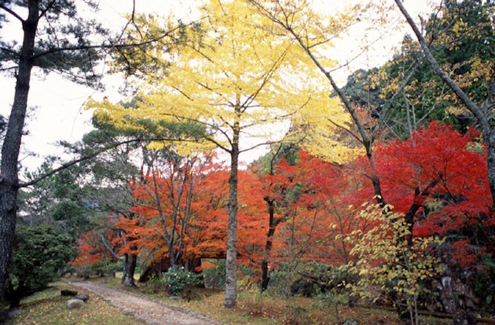 青井岳自然公園