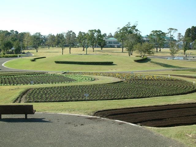 宮崎県農業科学公園ルピナスパーク