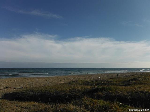 伊倉浜自然公園