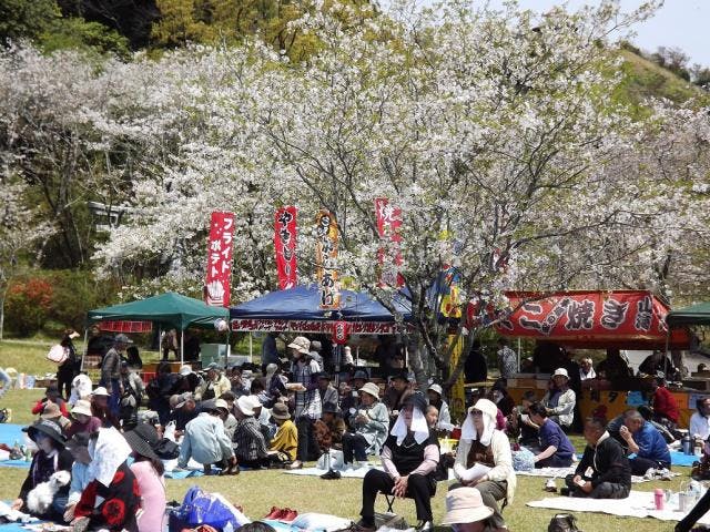 【2021年は中止】都農町花まつり