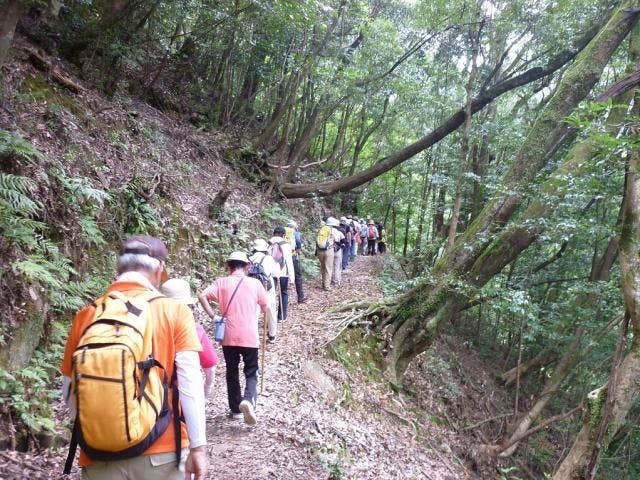 尾鈴県立公園ハイキングコース（矢研の滝）