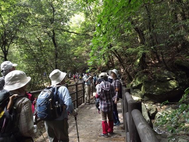 尾鈴県立自然公園ハイキングコース（白滝）