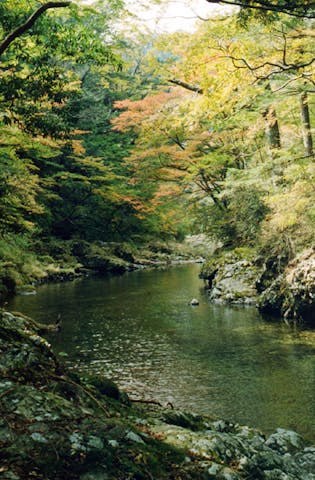 祝子川渓谷の紅葉