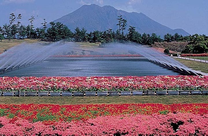 吉野公園のツツジ