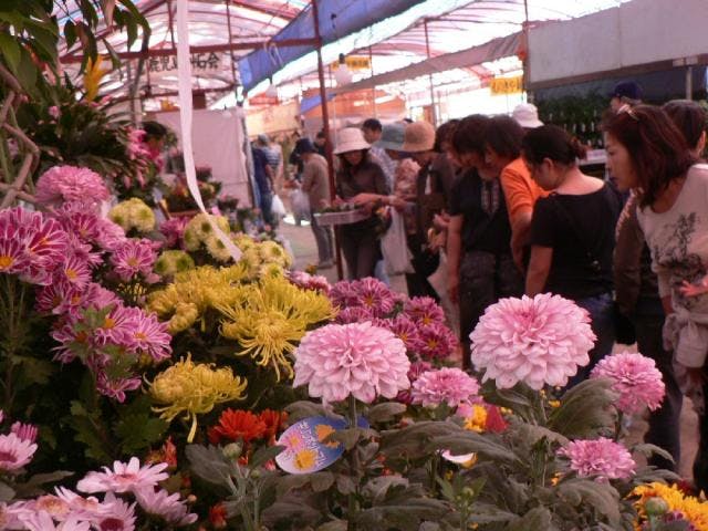 【2020年中止】秋の木市