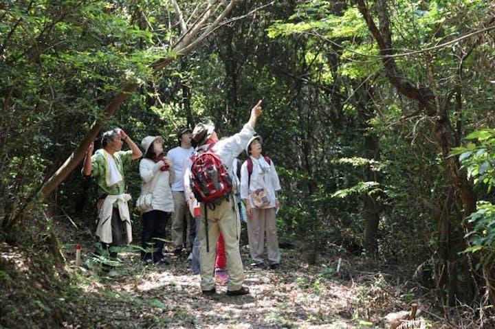 グリーンファーム（鹿児島市観光農業公園）