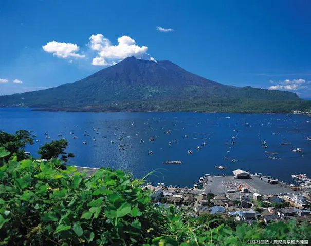 桜島 アソビュー