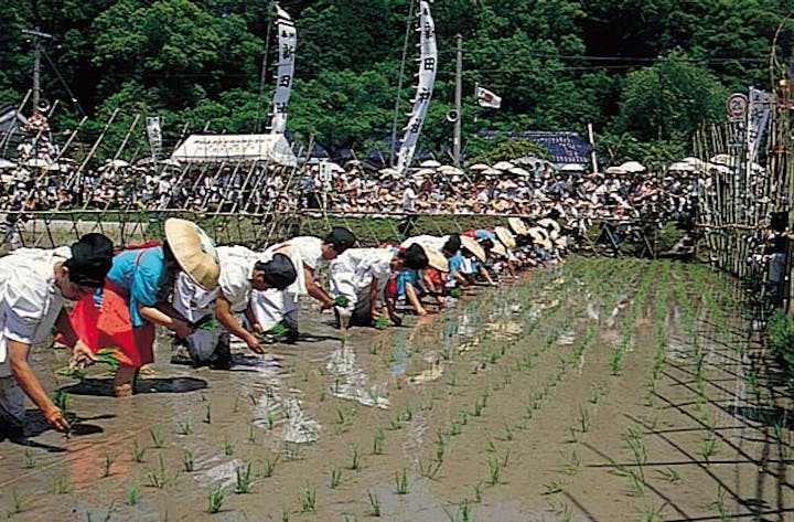 御田植祭
