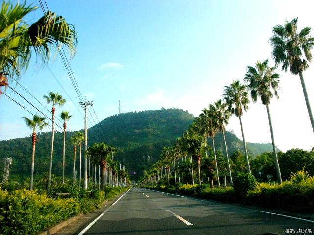 魚見岳自然公園