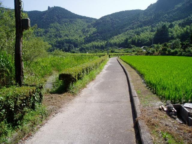 藺牟田池一周サイクリングコース