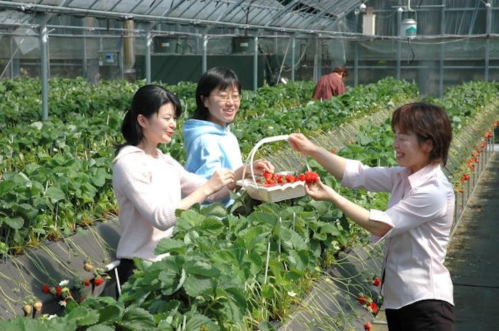 都市農村交流施設チェスト館