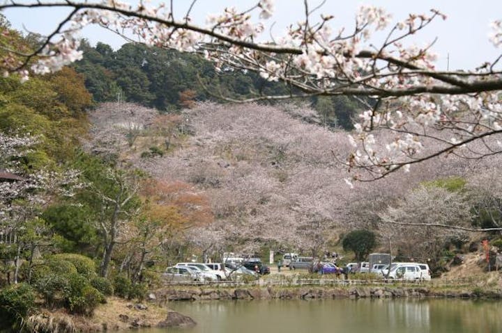 観音ヶ池市民の森 アソビュー