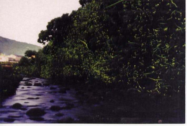 【中止】荒川ほたるでナイト