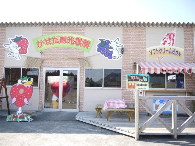 加世田観光農園