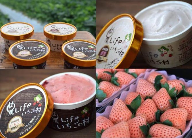 農Life いちごの村