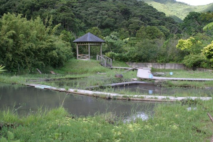 本場奄美大島紬泥染公園