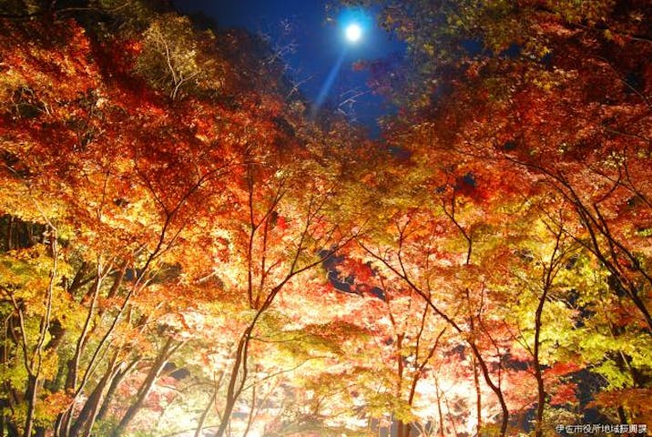 曽木の滝公園もみじ祭り