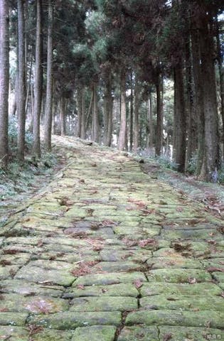 龍門司坂（国指定史跡）