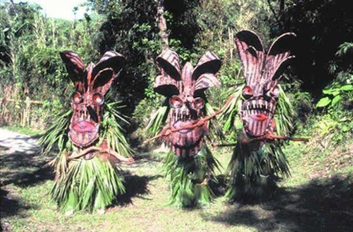 【2020年中止】悪石島ボゼ祭り